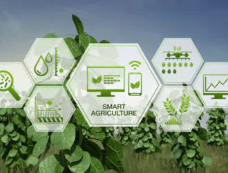 Как Интернет вещей (IoT) меняет будущее сельского хозяйства