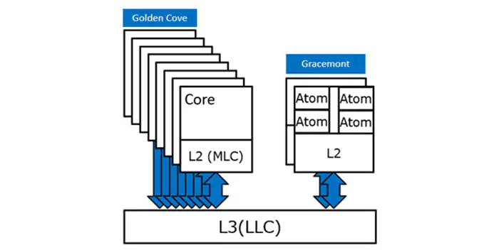 Руководство разработчика Intel ADL подтверждает конфигурацию ядра настольного компьютера и ноутбука