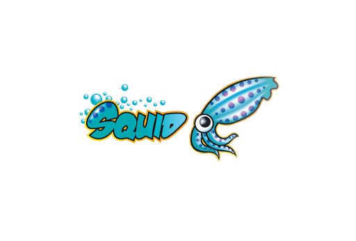 Как использовать wget с прокси Squid