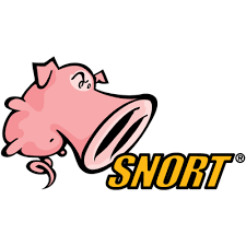 Оповещения в Snort