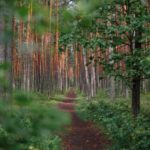 Абсолютный против относительного пути в Linux