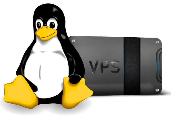 Что делает дешевый хостинг Linux VPS таким уникальным?