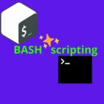 Разница между ${} и $() в Bash