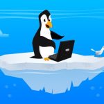 Обзор и сравнение уникальных оболочек Linux