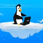 Обзор и сравнение уникальных оболочек Linux