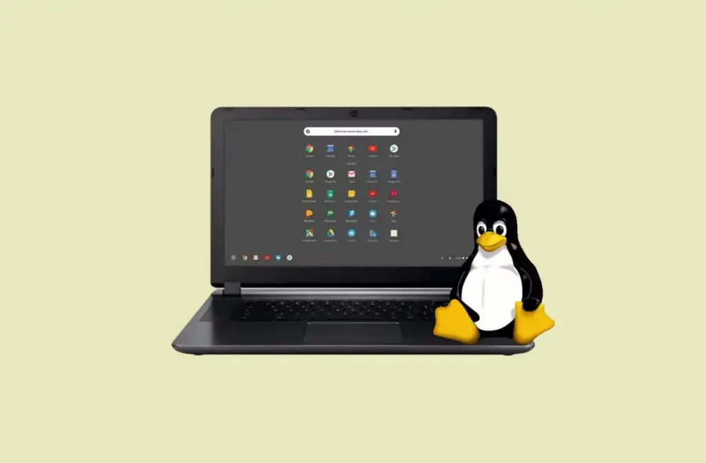 Как запускать приложения Linux на Chromebook