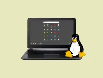 Как запускать приложения Linux на Chromebook