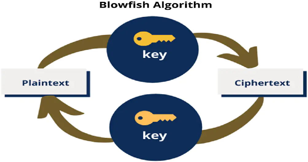 Алгоритм Blowfish с примерами