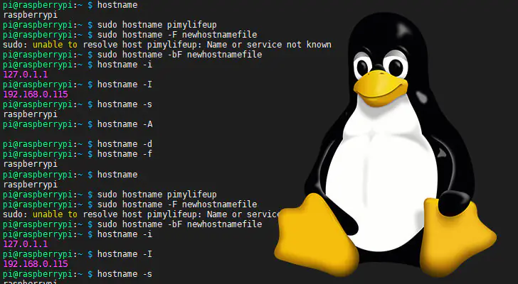 Команда hostname в Linux с примерами