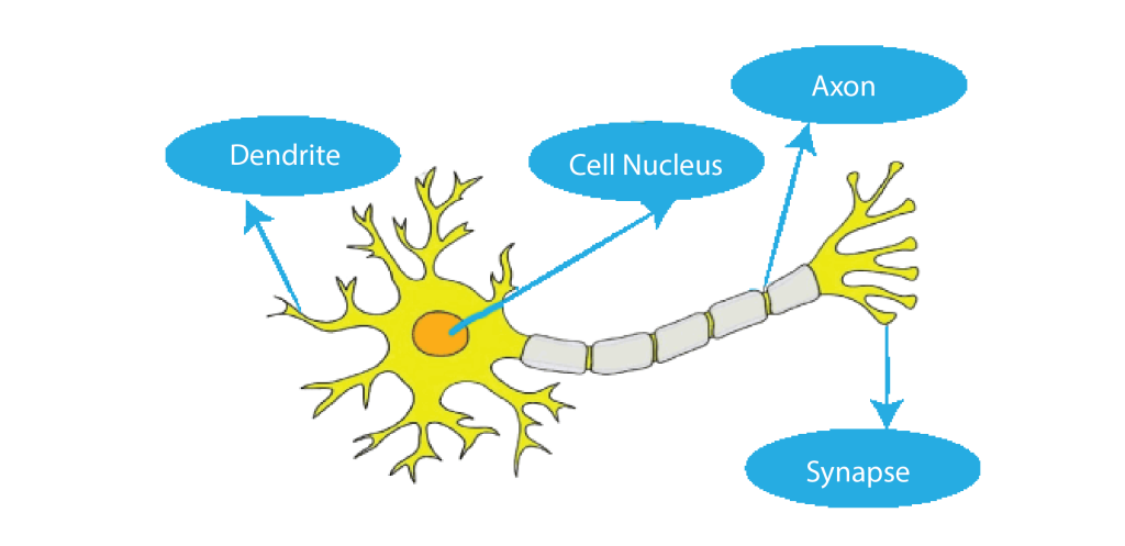 Искусственная нейронная сеть
