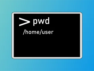 Команда pwd в Linux с примерами