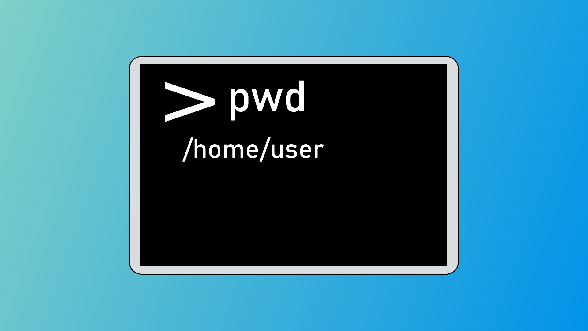 Команда pwd в Linux с примерами