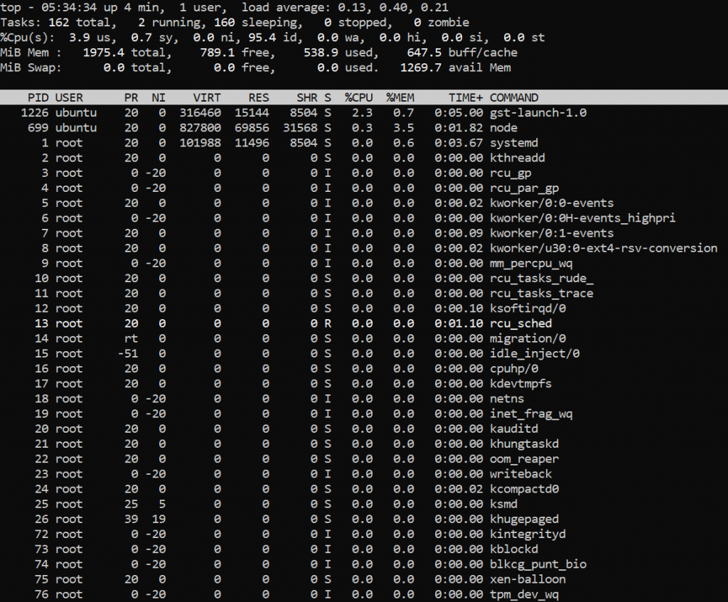Рис. 1: Вывод команды top