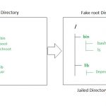 Команда Chroot в Linux с примерами