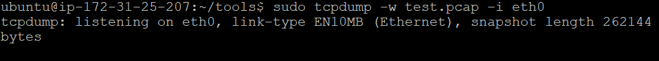 Рис. 2. Захват сетевых пакетов, проходящих через eth0 интерфейс