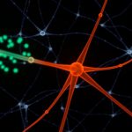 Способы получения доступа к нейросетям из России