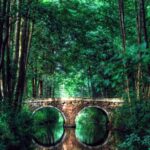 Экскурсии по знаковым местам природы: путешествие в мир экологии и красоты