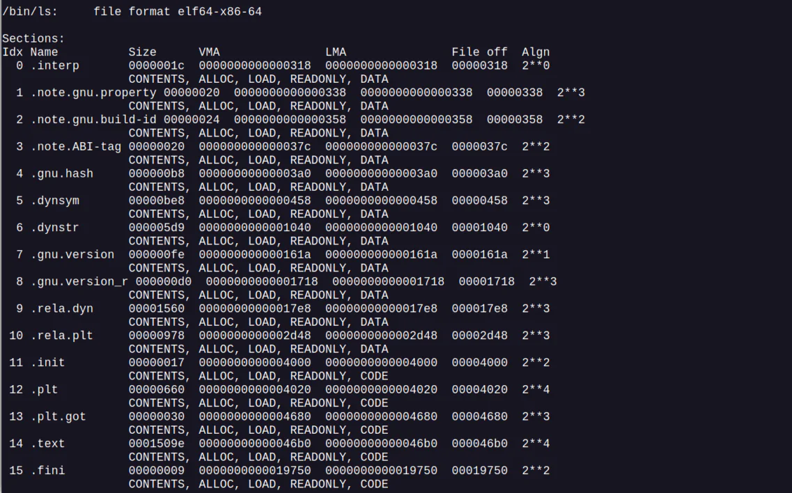 Найдите информацию о файле ELF с помощью команды objdump