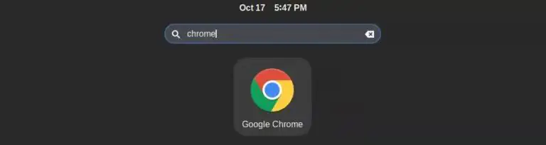 Запускаем Google Chrome.