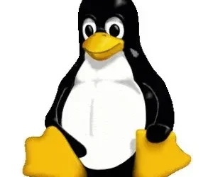 Несколько российских разработчиков удалены из ядра Linux из-за проблем с соответствием требованиям