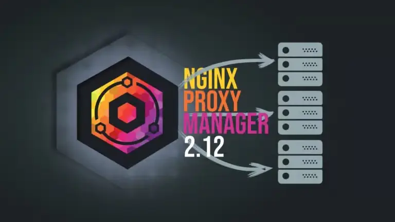 Nginx Proxy Manager 2.12 обновляет схему API и проверку