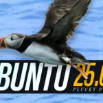 Ubuntu 25.04 «Plucky Puffin»