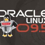 Oracle Linux 9.5 содержит OpenJDK 17 и .NET 9.0