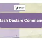 Использование команды declare в Bash с примерами