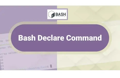 Использование команды declare в Bash с примерами