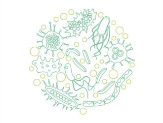 Как современные компьютеры помогают бороться с патогенными бактериями в кишечнике и восстанавливать нормальную микрофлору