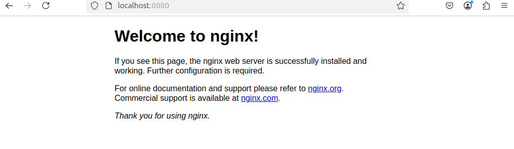 Проверка веб-сервера Nginx