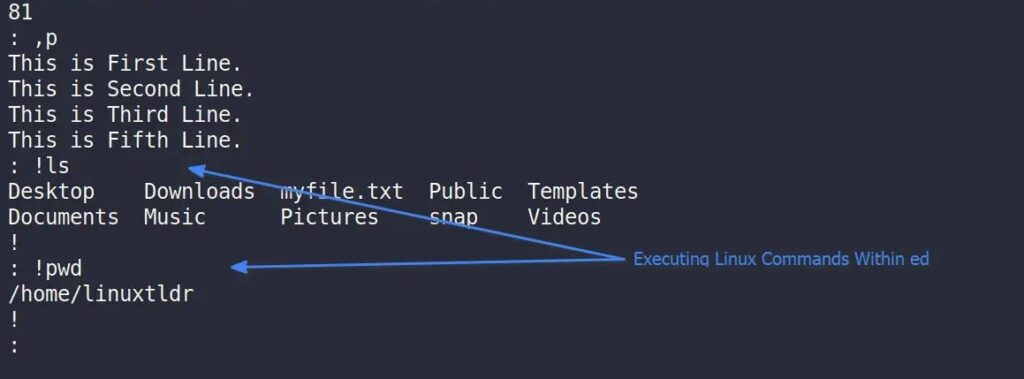 Как использовать ed (Стандартный редактор строк) в Unix / Linux