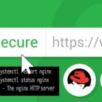 Как включить протокол HTTPS в AlmaLinux 10