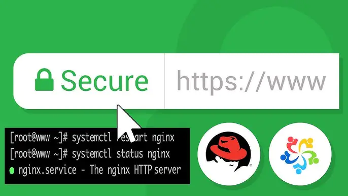 Как включить протокол HTTPS в AlmaLinux 10