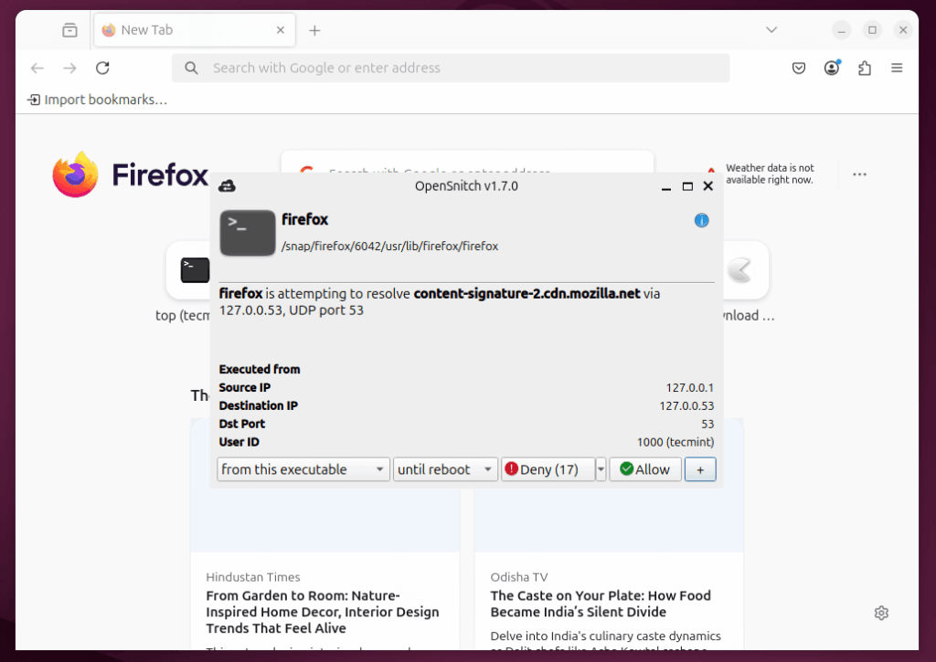OpenSnitch Предупреждает Вас о новом доступе приложения к Интернету