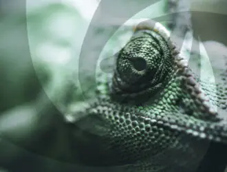 openSUSE удаляет рабочий стол Deepin из своих дистрибутивов в целях безопасности