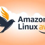 Amazon Linux 2023 получил сертификат FIPS 140-3