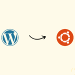 Как установить WordPress на Debian 13