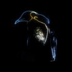 Обнаружена «уязвимость», позволяющая обойти шифрование диска в Linux