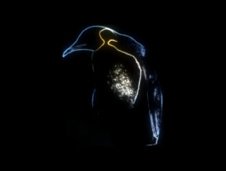 Обнаружена «уязвимость», позволяющая обойти шифрование диска в Linux