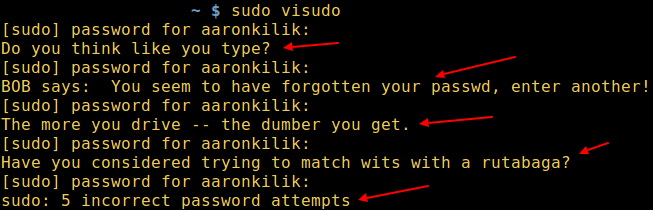 оскорбление sudo в действии