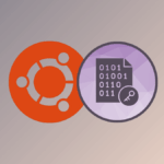 В Ubuntu 25.10 появится экспериментальное шифрование всего диска с поддержкой TPM