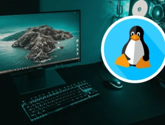 В преддверии прекращение поддержки Windows 10 появилась инициатива, которая хочет предотвратить попадание вашего компьютера в корзину: установка Linux