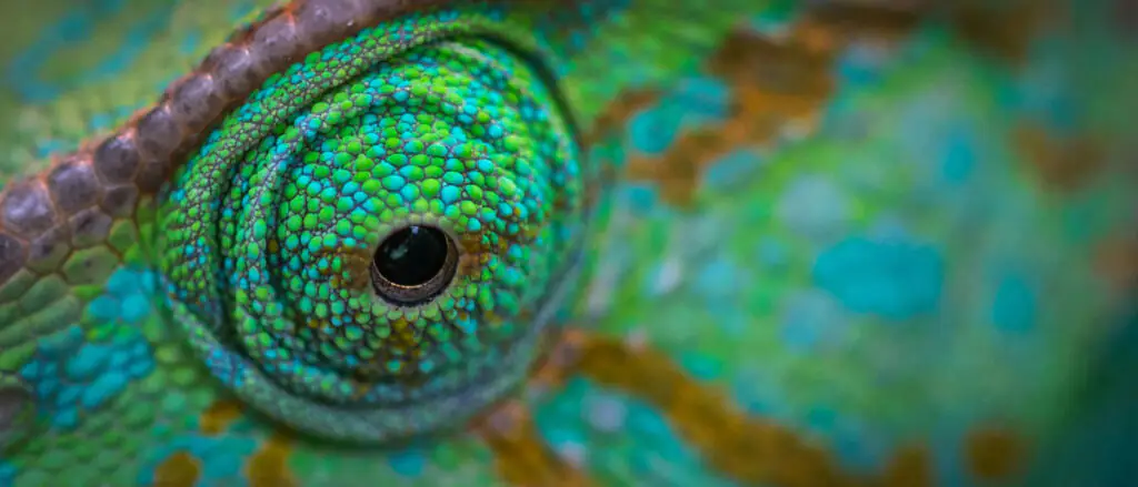 openSUSE: разные оттенки зеленого ... и немного критики в адрес самокритики