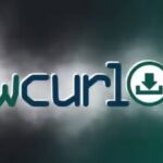 Команда wcurl в Linux: описание, возможности и примеры использования