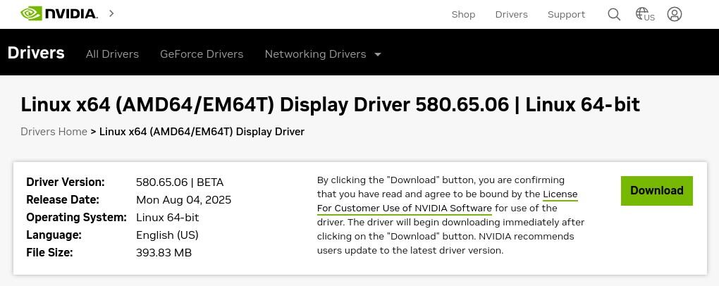 Драйвер дисплея NVIDIA Linux x64 580.65 Beta
