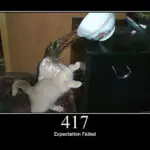 Ошибка HTTP 417 «Ожидание не выполнено» что это такое и как это исправить