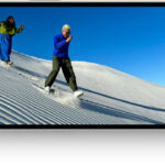 Федеральная комиссия связи США по ошибке раскрыла конфиденциальные технические схемы iPhone 16e