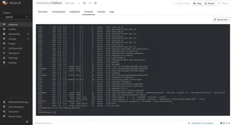 Пользовательский интерфейс веб-управления Incus