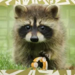 Ежедневные сборки Ubuntu 26.04 LTS теперь доступны для скачивания